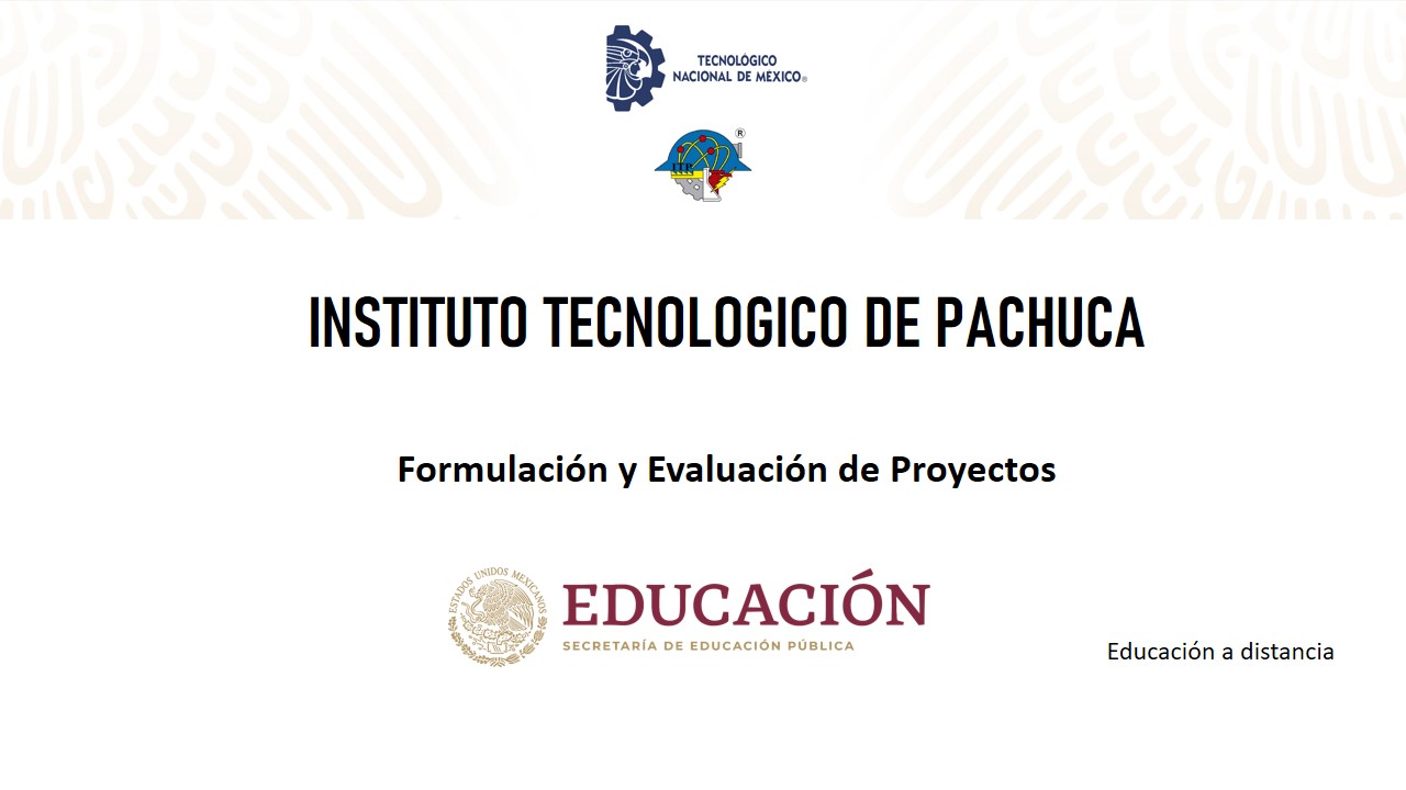 Formulación y evaluación de proyectos_JDJHO copia 1