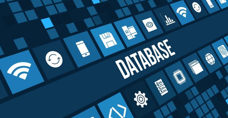 TALL. DE BASE DE DATOS